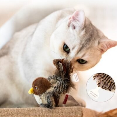 Simulation Bird Pet Cat Training Scratching Toy