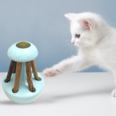 Tumbler Mint Self-hey Toy Cat Supplies