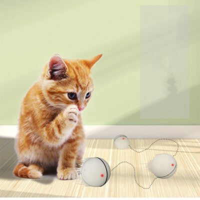 Electric Smart  LED Laser USB Rolling Flashing Cat Ball Toy