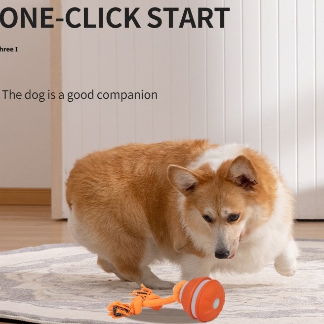 Pet Ball For Dogs Interactive Toys Motion Activate Rolling Ball For Puppy Small Dogs Automatic Moving Toy USB Rechargeable Toy Pet Products - Image 2