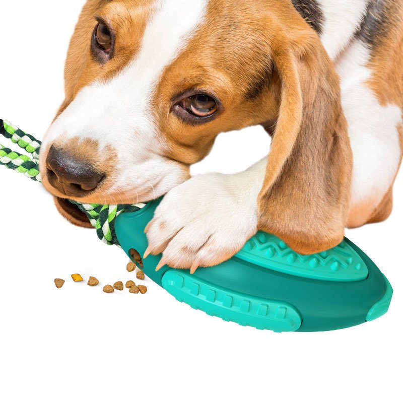 Voice Leaky Molars Rugby Dog Toy - Image 2