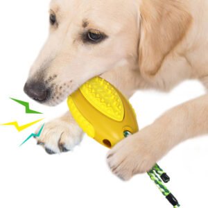 Voice Leaky Molars Rugby Dog Toy