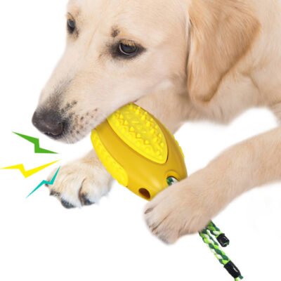 Voice Leaky Molars Rugby Dog Toy