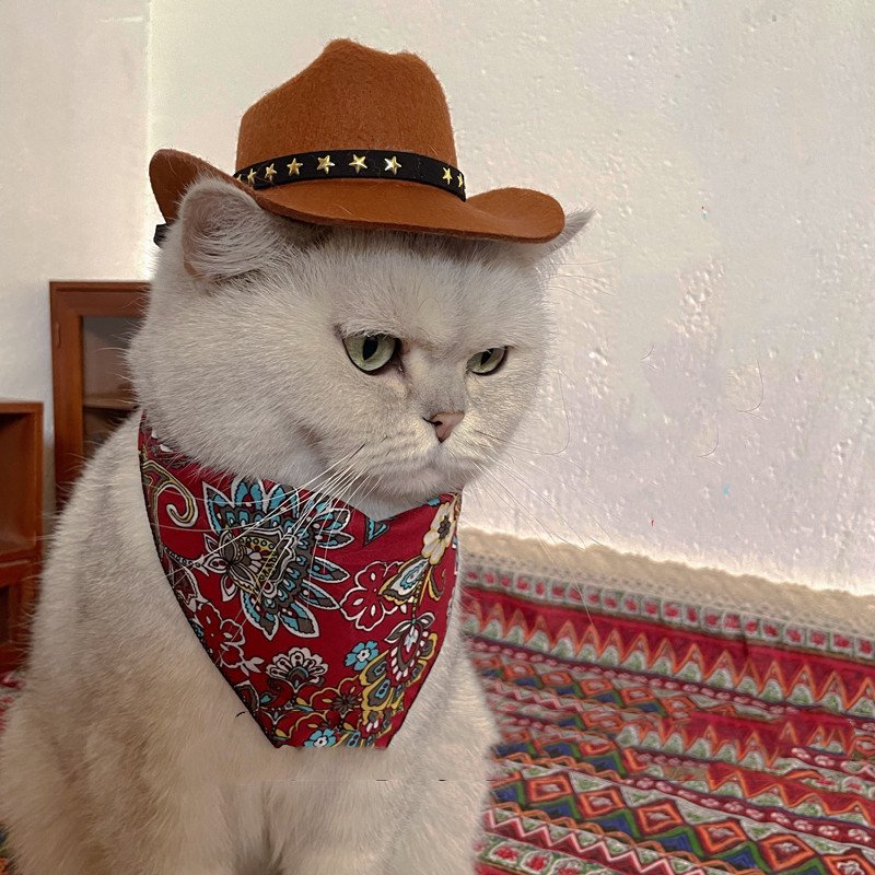 Cat Decorative Hat Pet Headwear Western - 4