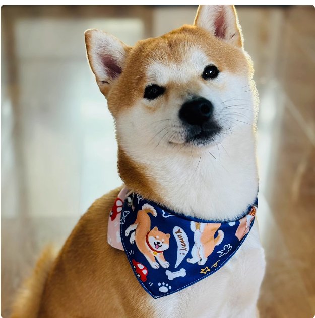 Shiba Inu Color Matching Triangular Binder Can Be Worn On Both Sides - 2