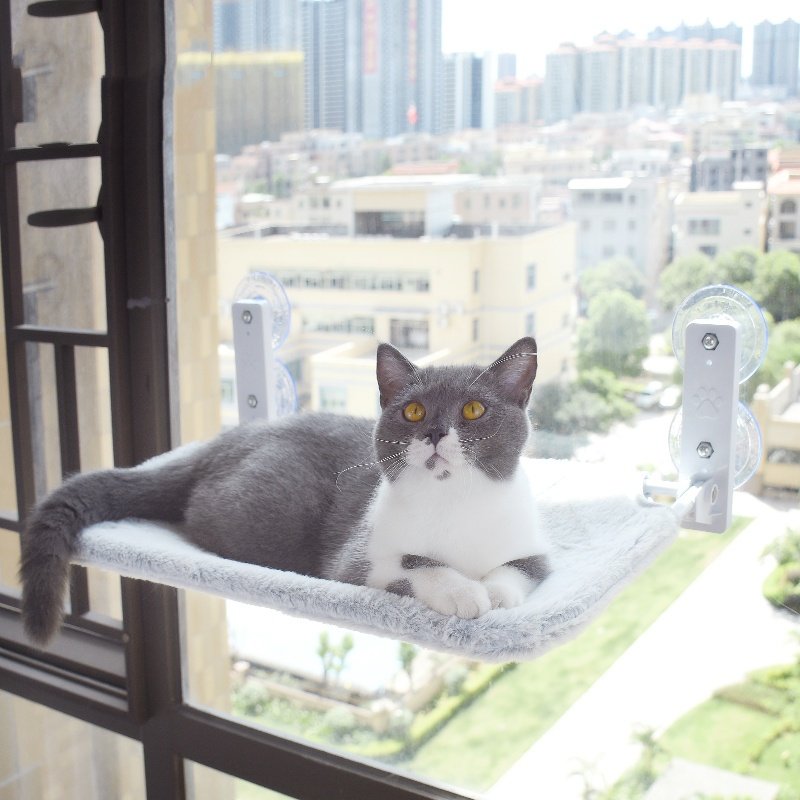 Cat Suction Cup Window Glass Hammock Pet Cat Pets Products - 7