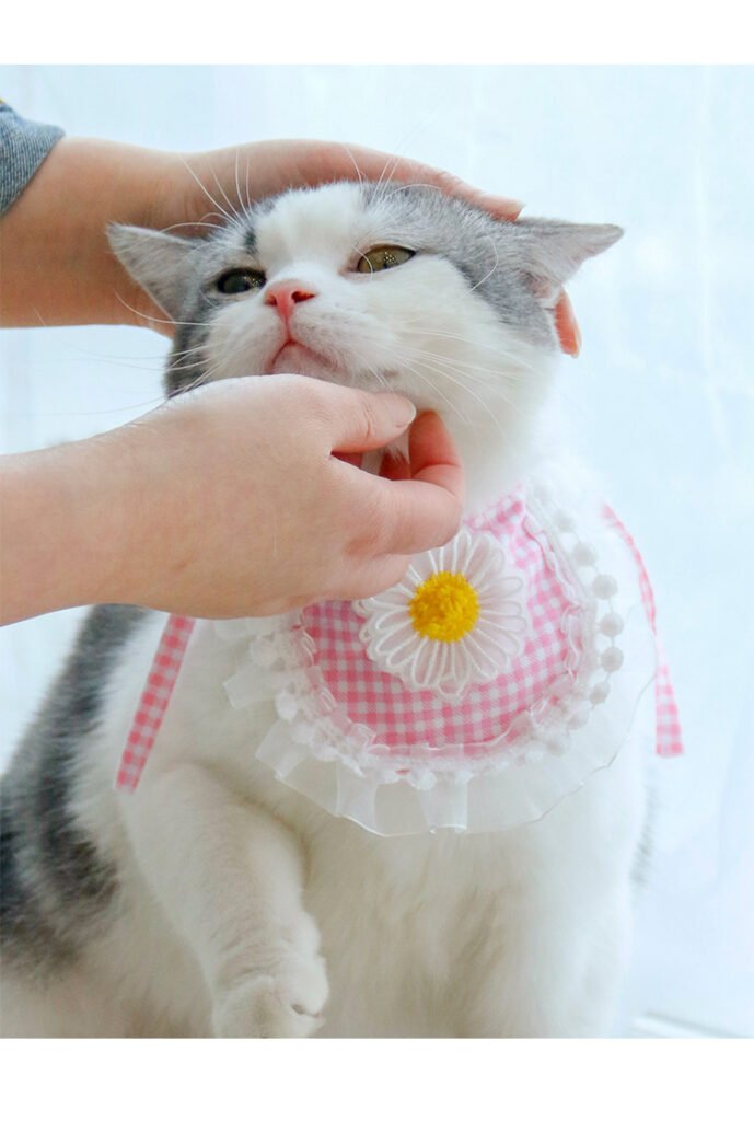 Fashion Voile Pet’s Saliva Towel - 10