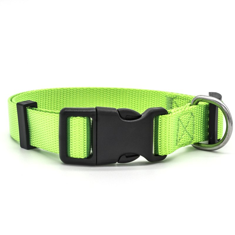 New Pet Collar - 4