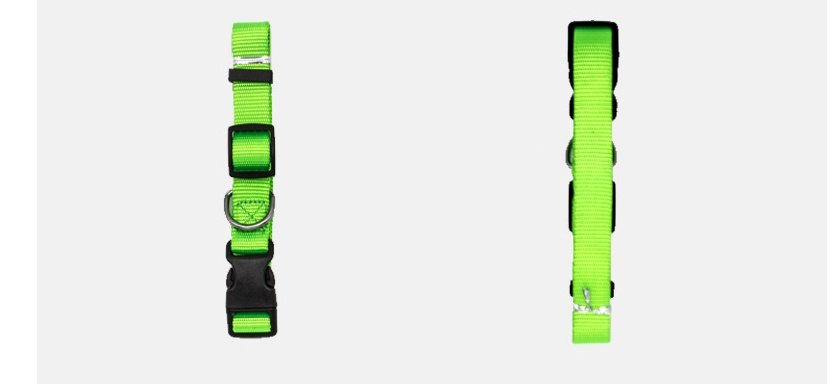 New Pet Collar - 6