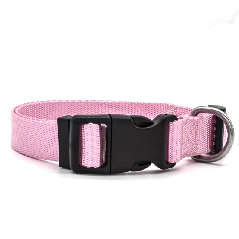 New Pet Collar - 2