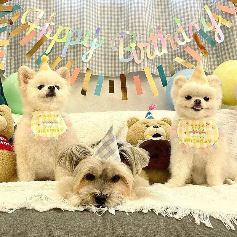Dog Party Cake Bib Pet Birthday Saliva Towel - 4