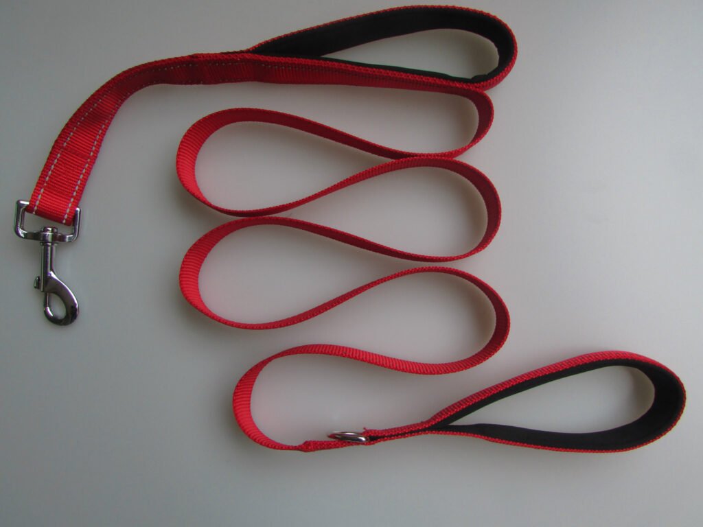 Pet Double Handle Pull Leash - 4