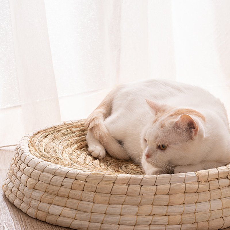 Teng Wok Felt House Cat Bed - 4