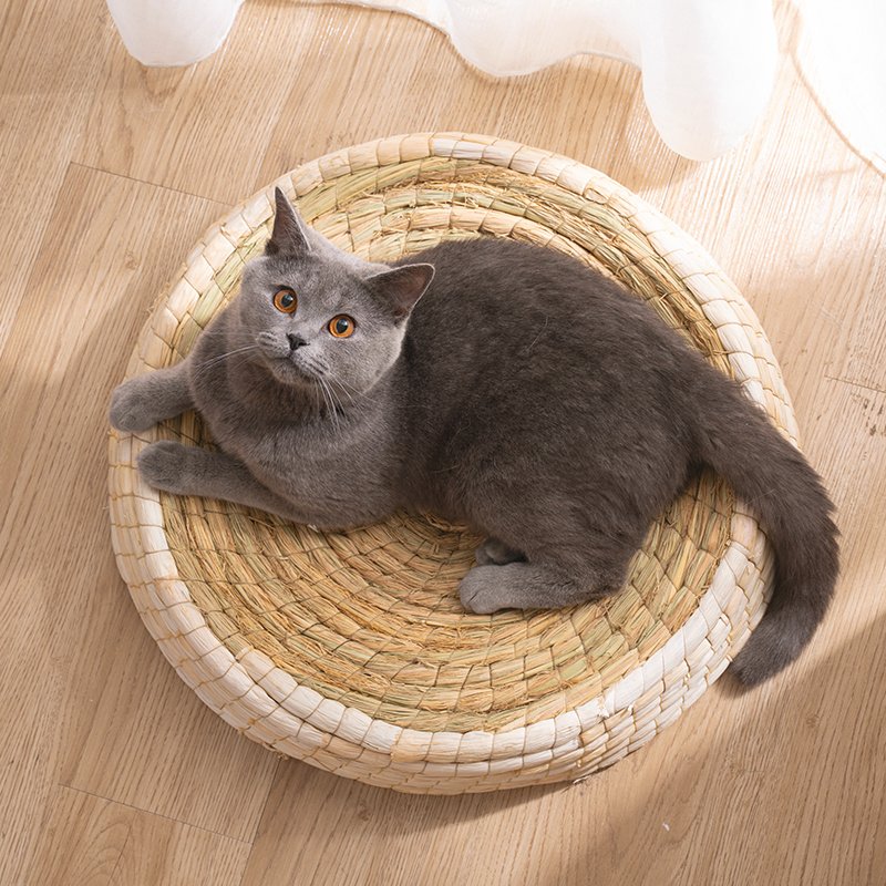 Teng Wok Felt House Cat Bed - 2