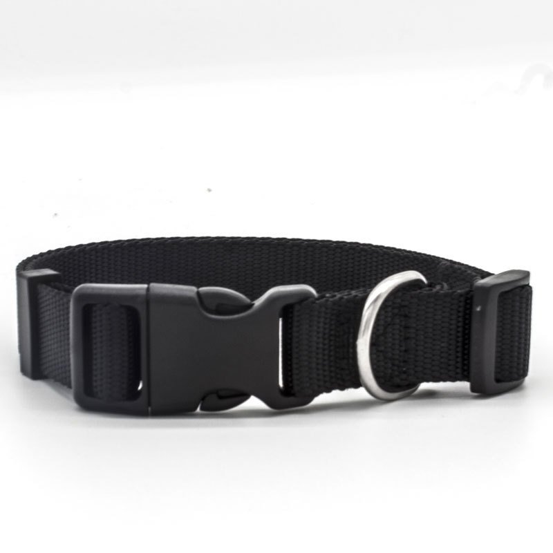 New Pet Collar - 3
