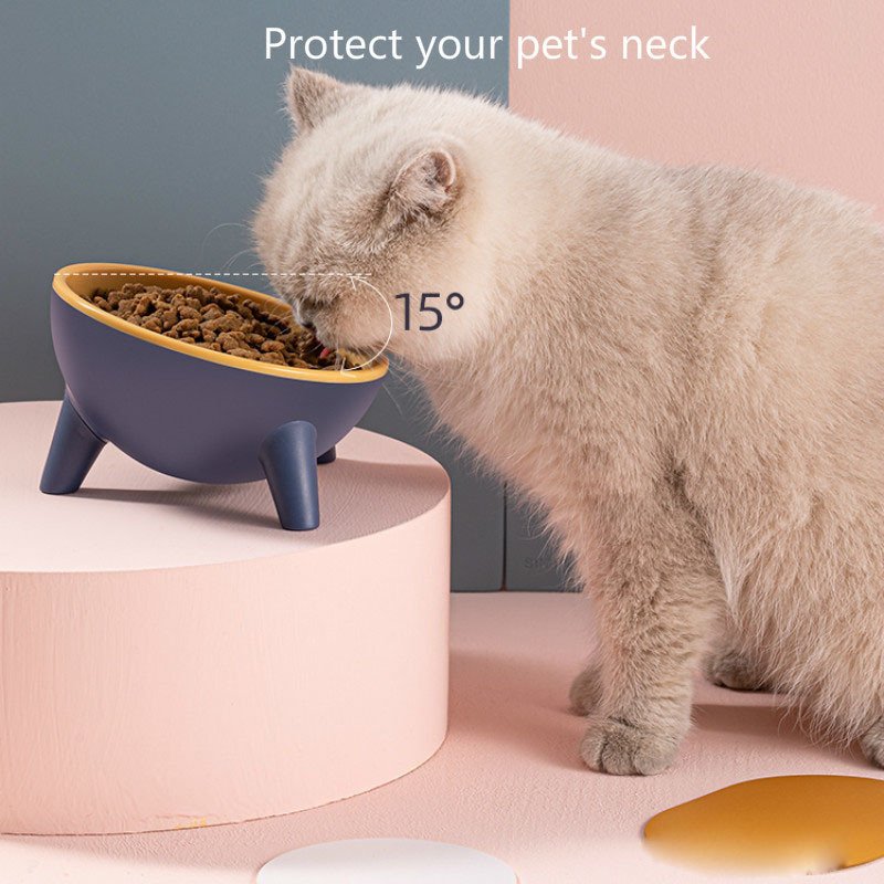 Cat Dog Bowl With Stand Pet Feeding Food Bowls Dogs Bunny Rabbit Nordic Color Feeder Product Supplies Pet Accessories - 6
