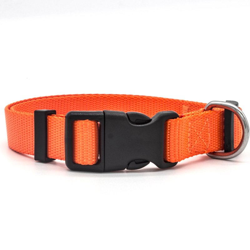 New Pet Collar - 5