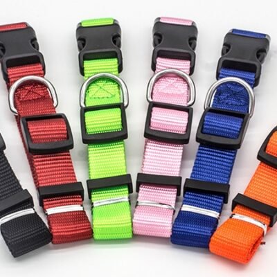 New Pet Collar