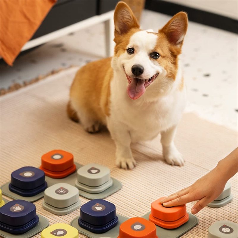 4 Colors Pet Communication Button One-click Prevent Physical Inactivity Recordable Dog Talking Button Toy Cat Toy Pet Products - 6
