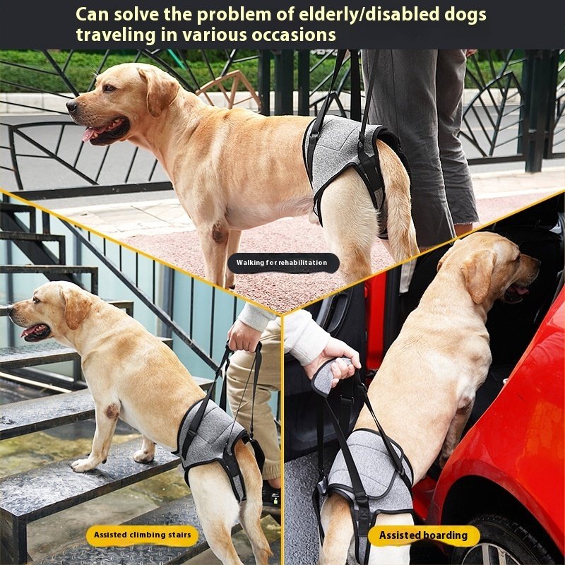 Elderly Dog Outing Back-style Auxiliary Strap - 5