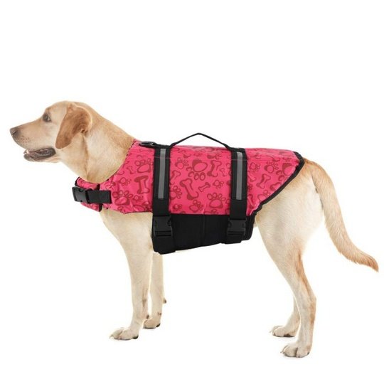 Paw Roll Developing Product - 4