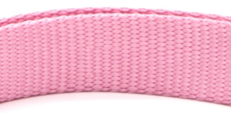 New Pet Collar - 10