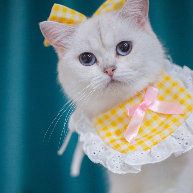 Cat Lace Suit Saliva Towel Princess Style Scarf Bib Decoration - 7