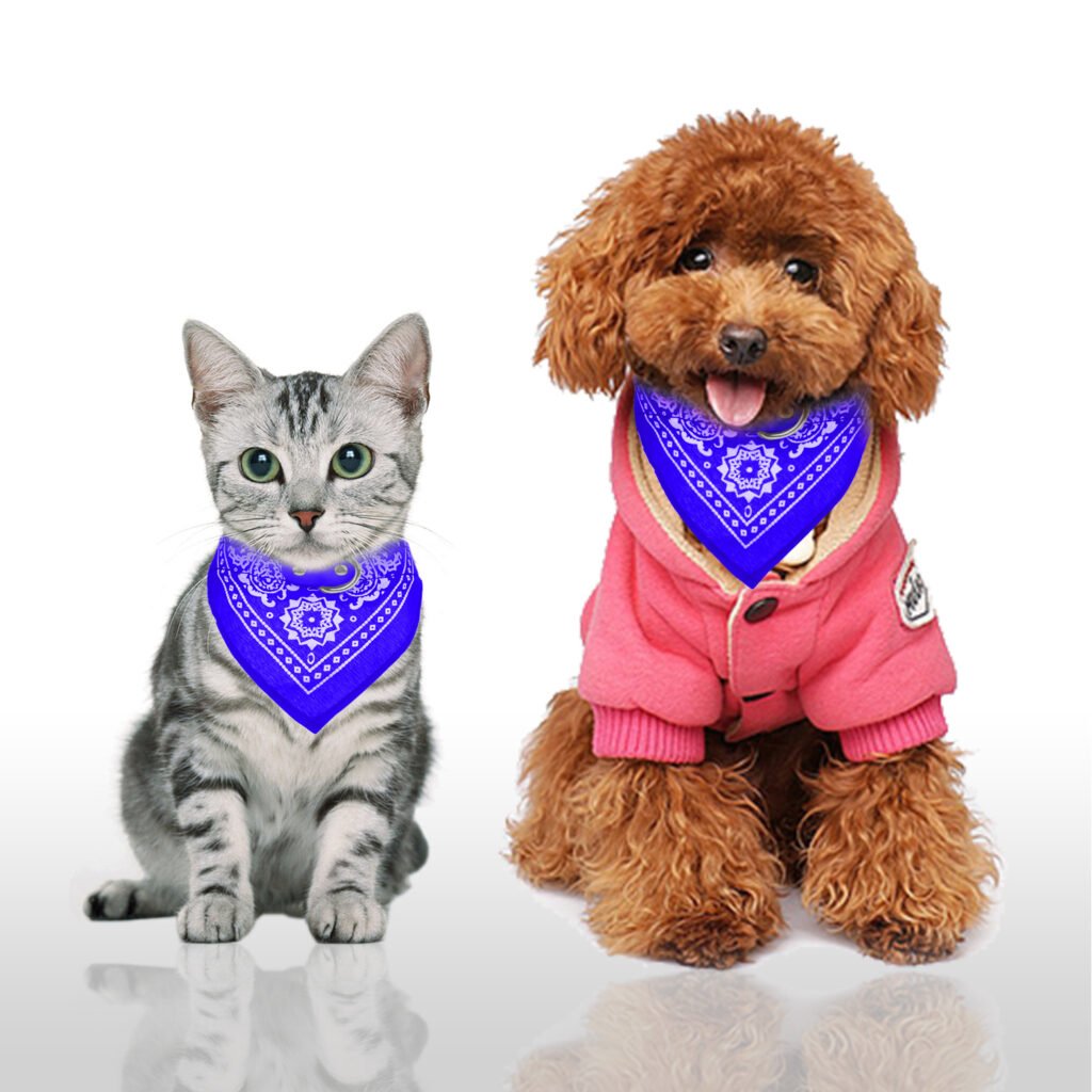 1Pc Adjustable Bandana Leather Pet Collar Triangle Scarf - 9