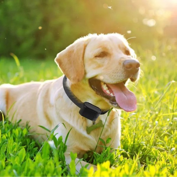 Electric Dog Fence System Pet Tone Shock Boundary Containment Water Resistant Collar Receiver For Small Medium Large Dog - 2