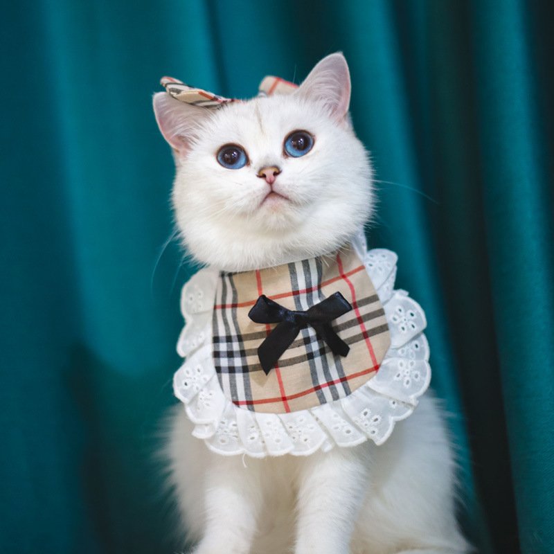 Cat Lace Suit Saliva Towel Princess Style Scarf Bib Decoration - 4