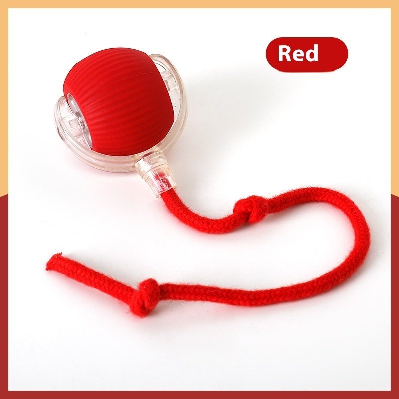 Interactive Cat Toy Ball Super Drive Cat Rolling Ball - 8