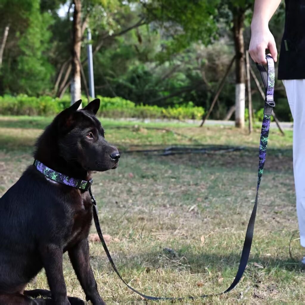 UV Printing Camouflage Embossed Pet Leash Set Is A Perfect Combination Of Style And Functionality Specially Designed For Pets’ Outdoor Activities. Every Detail From Craftsmanship To Material Selection