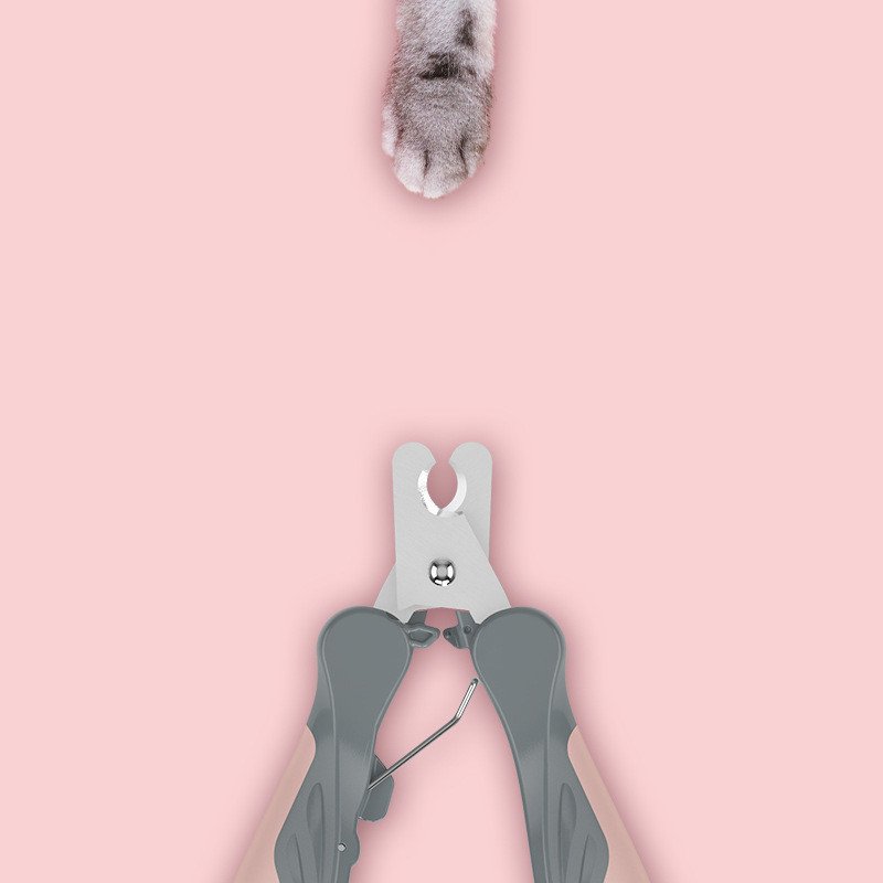 Pet dog nail clippers - 2