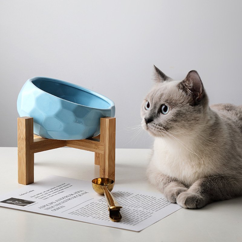 Pet bowl oblique mouth cat bowl food bowl dog bowl method bucket food bowl - 2