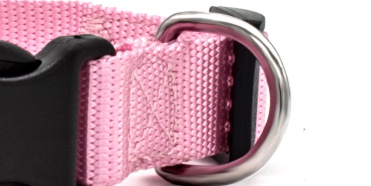New Pet Collar - 7