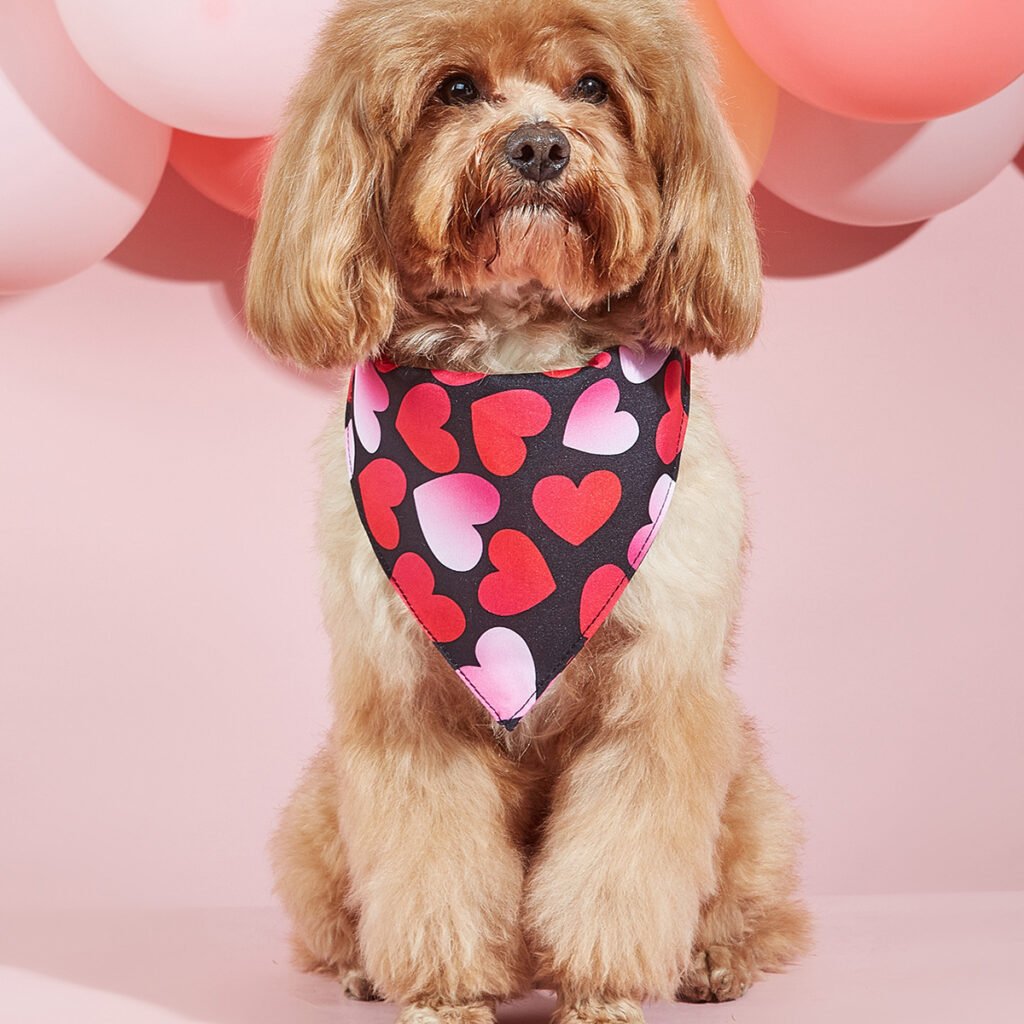 Pet Dog Printing Accessories Scarf Saliva Towel - 2
