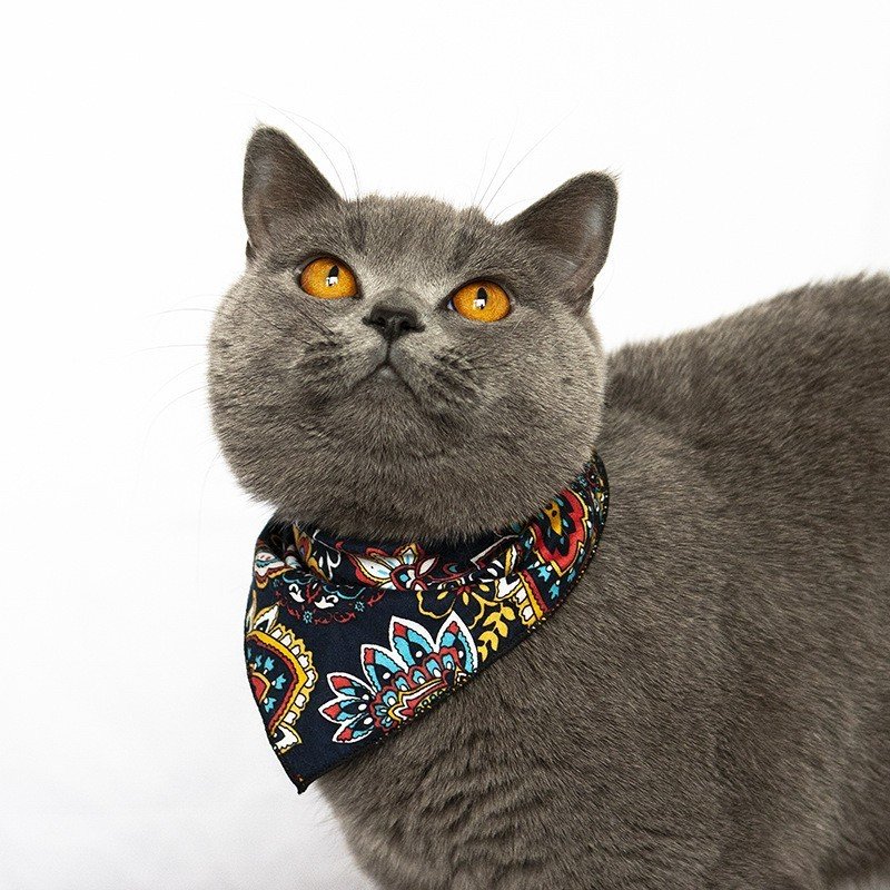 Cat Decorative Hat Pet Headwear Western - 6
