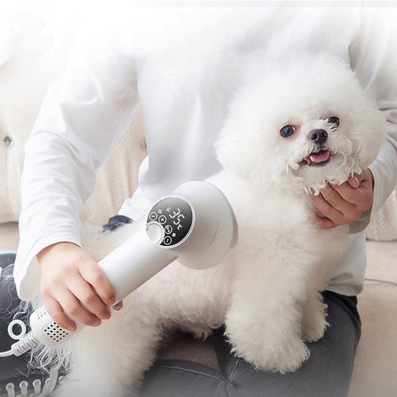 Smart Pet Hair Dryer Dog Golden Retriever Cat Grooming Hairdressing Blow & Comb Silent No Harm Pet Cleaning Supplies Pet Products - 7