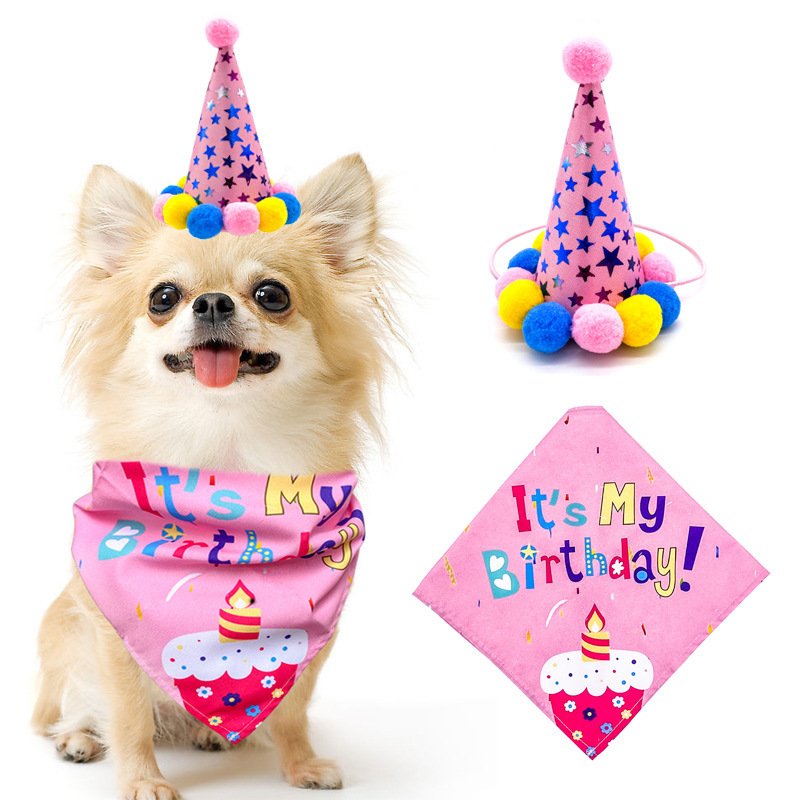 Pet Dog And Cat First Birthday Party Triangle - 5