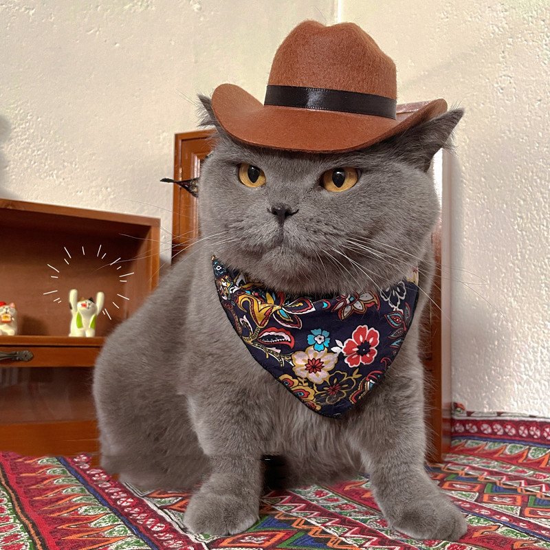 Cat Decorative Hat Pet Headwear Western - 7