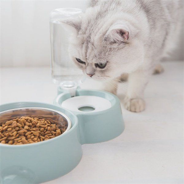 Dog bowl - 4