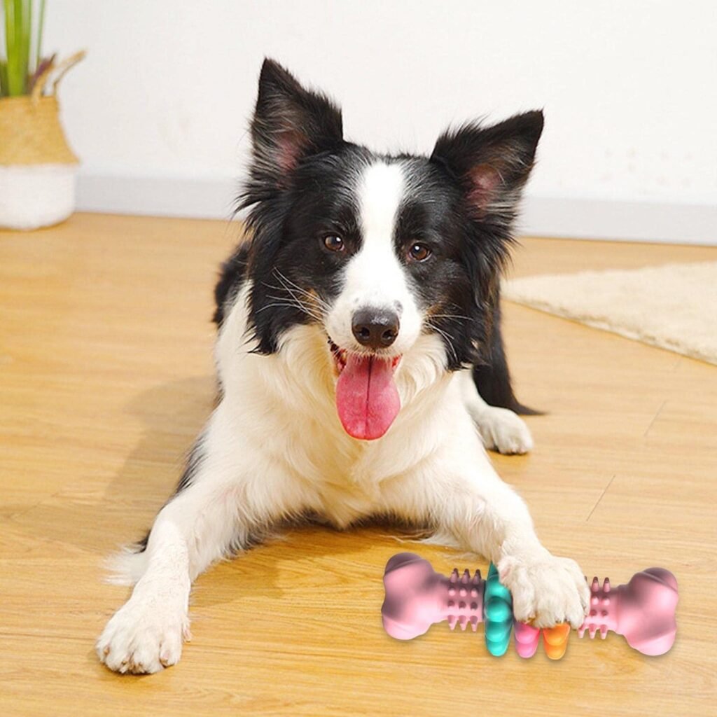 Dog Chew Toy Dog Bone Type Dogs Teeth Cleaning Toys Indestructible TPR Bone Chewing Bite Resistant Teething Toys Pet Products - 6