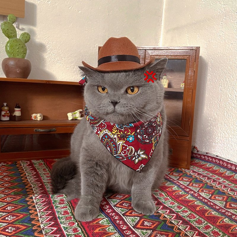 Cat Decorative Hat Pet Headwear Western - 2