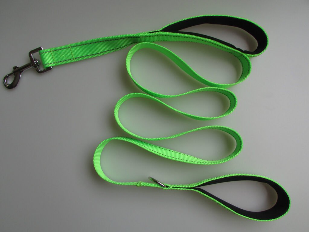 Pet Double Handle Pull Leash - 3
