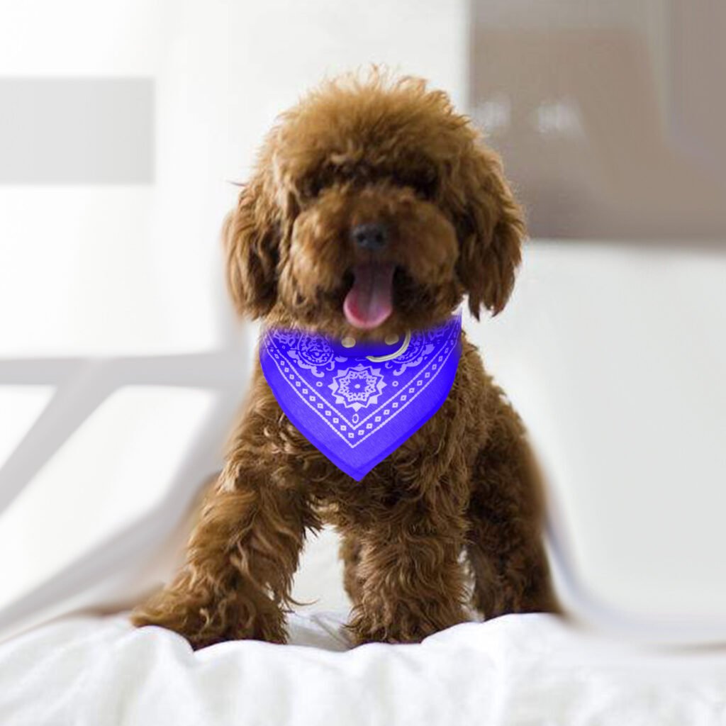 1Pc Adjustable Bandana Leather Pet Collar Triangle Scarf - 6