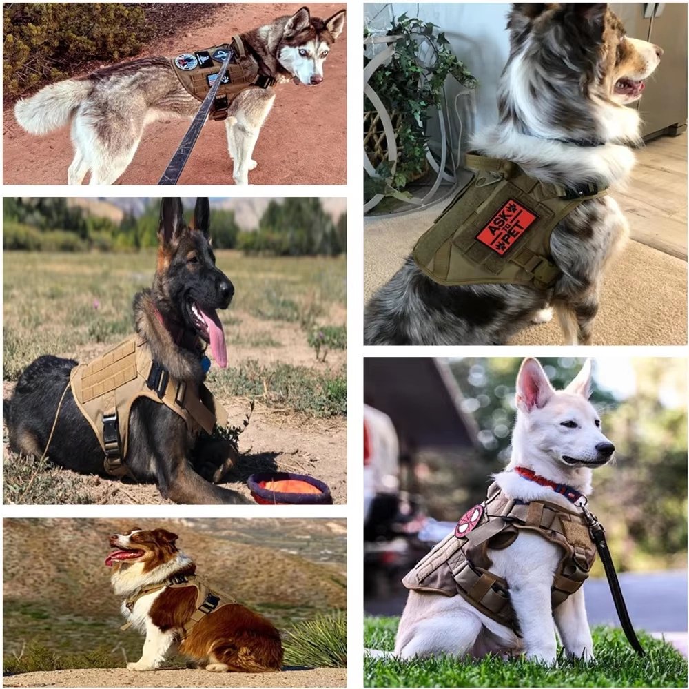 Pet Harness Luxury Dog Leash Set Chest Dog  Nylon Camouflage Dog Harness - 5