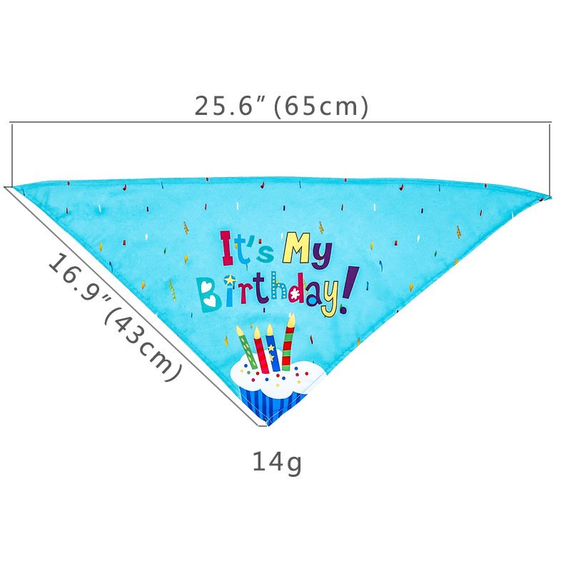Pet Dog And Cat First Birthday Party Triangle - 2