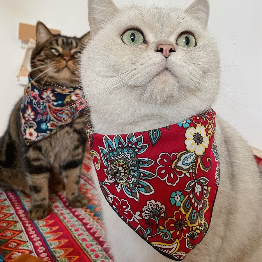 Cat Decorative Hat Pet Headwear Western - 3