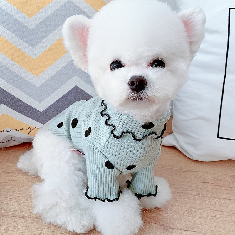Dot turtleneck dog bottoming shirt - 5