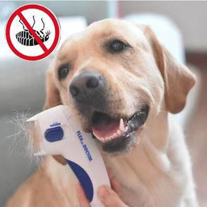Pet lice remover flea device electric pet comb - 5